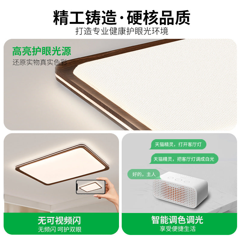 Living room ceiling light modern simple atmosphere 2025 new Nordic high-brightness eye protection bedroom Zhongshan lighting E