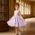 European and american style new girls' dress - lace mesh tutu skirt with bow neckline - princess style - direct from manufacturer - in stock