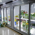 Commercial walk-in cooler and freezer set, complete with equipment for preserving wine, flowers, and fruits. includes glass door refrigeration