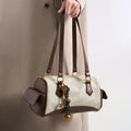 Luxury handbag 2025 new retro small square bag versatile instagram style high-end women's trendy fashion shoulder bag