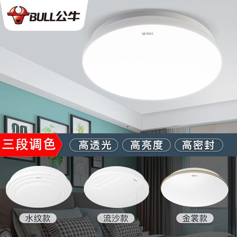Ceiling light, living room light Modern simple lighting Bedroom light Balcony light LED ceiling light Bull lamp Home improvement