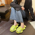2024 summer new cartoon catfish platform casual slippers women's ins popular couple's one-strap beach fish slippers