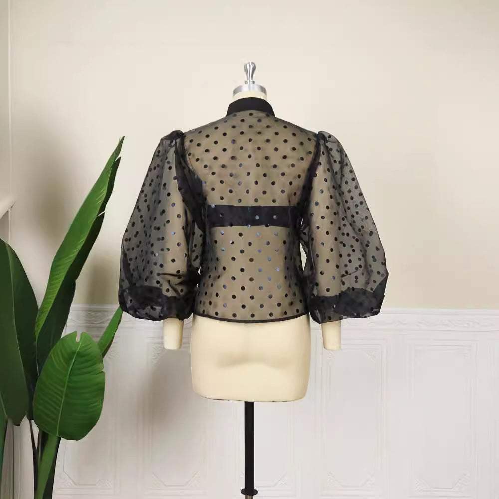 Summer new black v-neck organza polka dot puff sleeve long sleeve sexy see-through blouse versatile top women's clothing