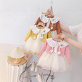 Baby girl spring/autumn  new sweet first birthday dress toddler spring fashion dress - export quality