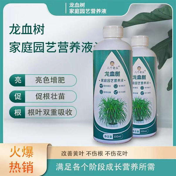 Dracaena special fertilizer nutrient solution Dracaena indoor potted plant yellow leaf dry tip special green plant organic fertilizer
