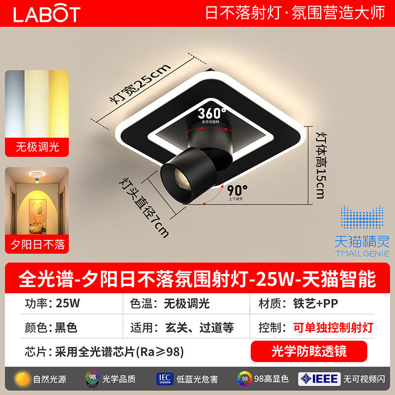 Aisle lights, corridor lights, surface-mounted projection, never-sunset atmosphere lights, entrance hall, high-end balcony led ceiling lights
