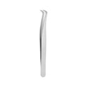 Half a dozen edge mirror eagle beak