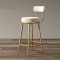 Accessible luxury bar chair for home back chair iron stool high stool bar chair scandinavian sedentary bar chair none