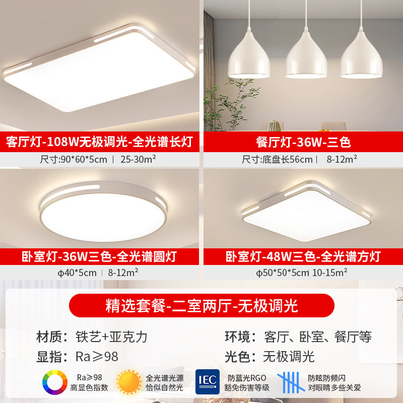 2025 new living room modern minimalist elegant main light full spectrum eye protection led ceiling light whole house hallway lighting fixture