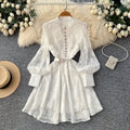 French style court lantern sleeve embroidered dress - women's spring/summer cinched waist cutout single-breasted a-line dress - elegant