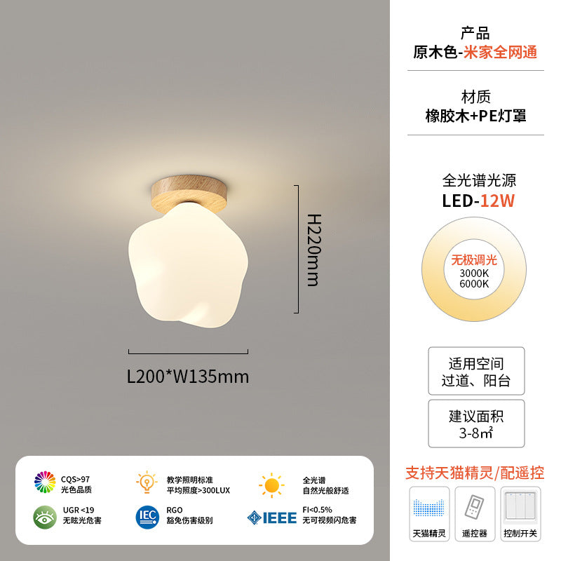 Walnut color star aisle light corridor entrance entrance balcony light full spectrum room rabbit wall light ceiling light