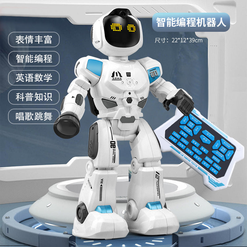 New cross-border smart early education programming remote control robot - singing, dancing, sensory interactive educational toy gift