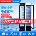 Commercial refrigerated beverage display case, small display refrigerator, supermarket upright freezer, energy-saving and power-efficient