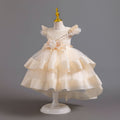 Exportin stock trailing evening dress airplane sleeve tutu princess dress girl banquet dress girl dress
