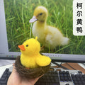 Yellow duck (sings, learns to talk, flaps wings, speaks)