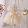 Girls' dresses flower girl wedding dresses tulle skirts children's day performance costumes hostess piano recital mid-length kids' princess dresses