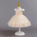 Ready-to-ship new baby girl dress - tulle flower cake princess dress - first birthday dress - baby dress