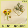 Wall-mounted hydroponics [rhombus + square]