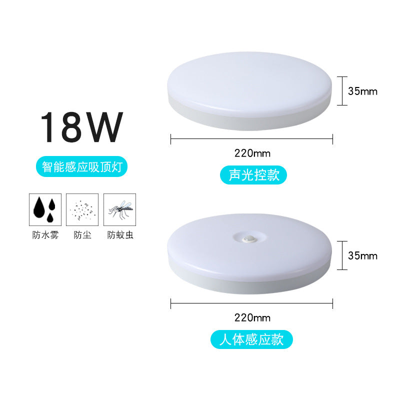 Factory wholesale LED three-proof ceiling light sound and light control radar human body induction light corridor aisle staircase lighting