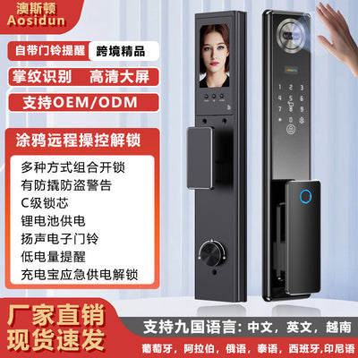 Face recognition fingerprint lock visual electronic password lock anti-theft door lock c-level lock core smart door lock manufacturer in stock
