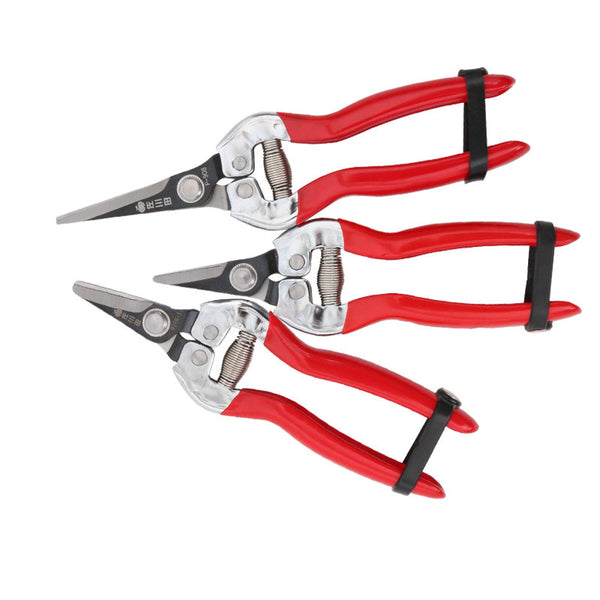 Taiwan original Sakawada 908 fruit picking scissors fruit picking scissors SK5 steel branches scissors flower arrangement scissors dipped in plastic iron handle potted plants