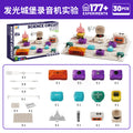 (30pcs) d2010 luminous castle recorder experiment