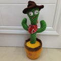 Accessory cactus 5 charging model