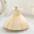Ready-to-ship wholesale children's dresses, airplane sleeve princess dresses for baby girls, perfect for first birthday parties, dance recitals, and evening events. includes tutu skirts