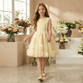 European and american style cross-border girls' formal dress - custom sleeveless vest dress with tulle skirt - sweet style girl dress