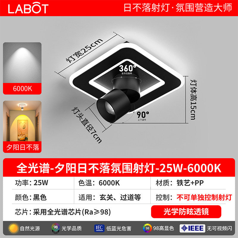 Aisle lights, corridor lights, surface-mounted projection, never-sunset atmosphere lights, entrance hall, high-end balcony led ceiling lights