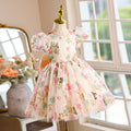 hot-selling girls' dresses, new summer collection for baby girls and toddlers, birthday and first birthday party dresses, printed princess dresses for children