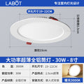 All-aluminum model | 8-inch 30w warm light | opening 19-22cm