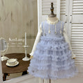 Girls' dress  autumn/winter collection: stylish fleece-lined vest dress with mesh tutu skirt - perfect for birthdays and first birthday celebrations