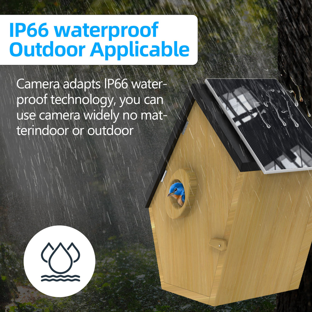 Factory direct sales visual bird hatchery 5MP high definition solar camera bamboo and wood bird nest,   explosion