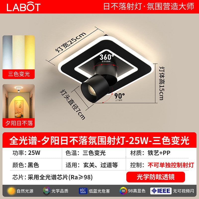 Aisle lights, corridor lights, surface-mounted projection, never-sunset atmosphere lights, entrance hall, high-end balcony led ceiling lights