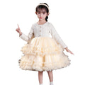Ready-to-ship, hot-selling girls' dresses for winter, new  styles in a chanel-inspired design, featuring a puffy skirt and tiered cake skirt for children
