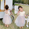 summer girls' rainbow tulle princess dress with open back - direct from the manufacturer