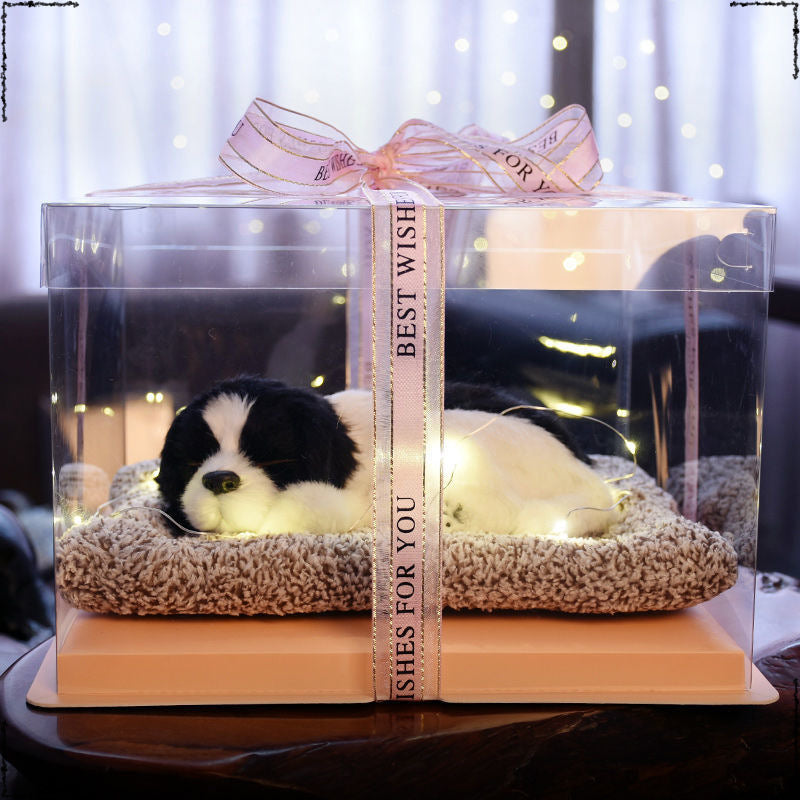 Birthday gifts for girls on Children's Day, children's girlfriends, girlfriends, simulated cats to accompany dolls 61 gift boxes