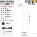 Nordic popular modern casual atmosphere lamp bedroom light luxury study atmosphere vertical floor spotlight table lamp