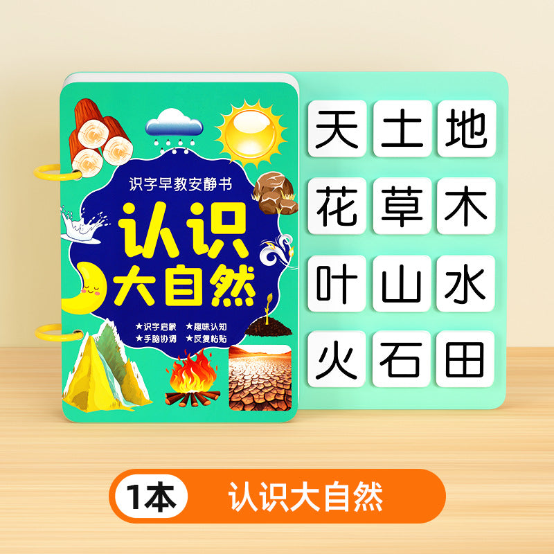 Literacy book for young children, literacy enlightenment, early education, quiet book, kidsren's number recognition cards, complete set of kindergarten baby cognition