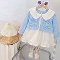 Girls' spring dress: new stylish cardigan dress, first birthday baby gown, children's princess dress set for spring and autumn