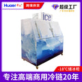 110v cold chain commercial freezer glass door large capacity ice freezer foshan manufacturer ice storage freezer personalized