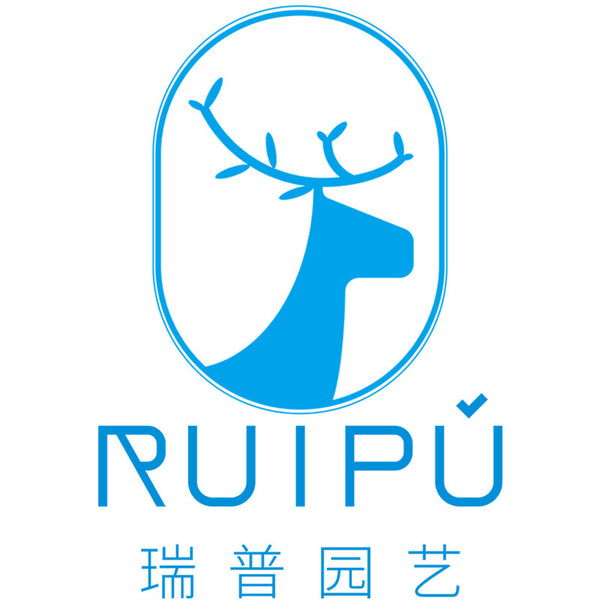 Ruipu gardening  special price tail goods clearance low price watering kettle watering flower watering kettle disinfection cleaning special watering can