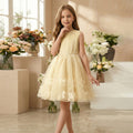 European and american style cross-border girls' formal dress - custom sleeveless vest dress with tulle skirt - sweet style girl dress