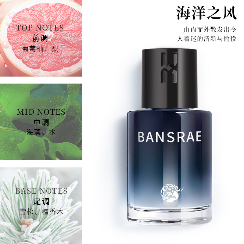 Car air freshener - new premium car perfume for men and women - long-lasting, high-end fragrance, sophisticated, flameless diffuser