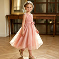 Girls' chiffon a-line dress - casual, slim-fit, perfect for everyday wear and vacation. ready-to-ship, cross-border e-commerce, children's clothing