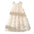 Girls' (toddler) dress, 3d rose embellished elegant party dress