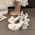 summer new arrivals: plus-size women's high-heeled sandals for cross-border e-commerce. available in sizes 35-42. wholesale options available. dropshipping to  and