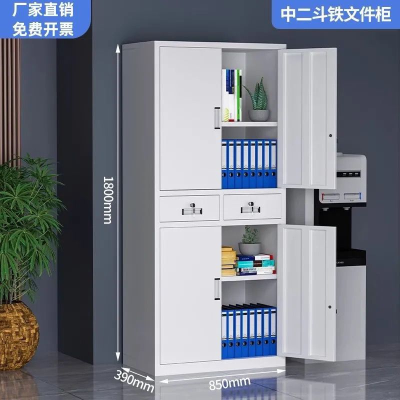 Office metal file cabinet - accounting & finance storage cabinet - voucher cabinet - storage cabinet - document & record cabinet - lockable cabinet