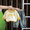 Boys' hoodie set - new  collection: stylish kids' autumn/winter round neck hoodie and pants two-piece outfit